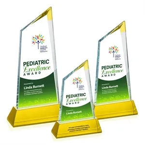Sandown VividPrint™ Award on Newhaven Base - Gold
