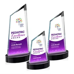 Sandown VividPrint™ Award on Alberton Base - Black