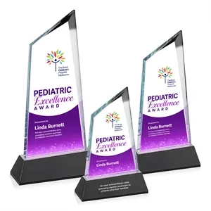 Sandown VividPrint™ Award on Newhaven Base - Black