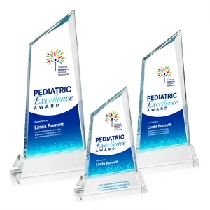 Sandown VividPrint™ Award on Newhaven Base - Clear