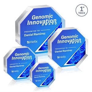 Melrose Octagon VividPrint™ Double Sided Award - Clear