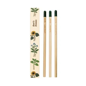 SproutWorld™ Pencil 3-Pack