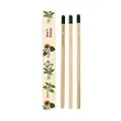 SproutWorld™ Pencil 3-Pack | https://www.bestnamebadges.com