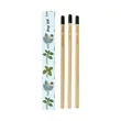 SproutWorld™ Pencil 3-Pack | https://www.bestnamebadges.com
