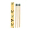 SproutWorld™ Pencil 3-Pack | https://www.bestnamebadges.com