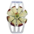 Apple Slicer/Corer | https://www.bestnamebadges.com