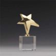 Rising Star Award | https://www.bestnamebadges.com