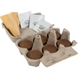 Carton Garden | https://www.bestnamebadges.com