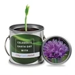 Paint Pail Planter Kit | https://www.bestnamebadges.com