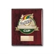 Etch/Colorfill Plaq - Rosewood | https://www.bestnamebadges.com