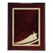 Comet Plaque | https://www.bestnamebadges.com