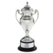 Silver Cup Award | https://www.bestnamebadges.com