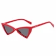Robin Fashion Sunglasses | https://www.bestnamebadges.com