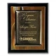 Brown Metallic Award | https://www.bestnamebadges.com