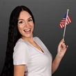 NON-Light Up Small Flags | https://www.bestnamebadges.com