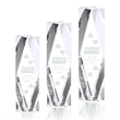 President Award | https://www.bestnamebadges.com