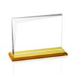 Mirela Award - Amber | https://www.bestnamebadges.com