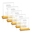 Vitalia Award - Amber | https://www.bestnamebadges.com