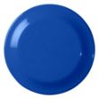 Small Discus | https://www.bestnamebadges.com