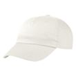 Price Buster Cap | https://www.bestnamebadges.com