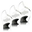 Cranfield Award - Black | https://www.bestnamebadges.com