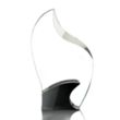 Cranfield Award - Black | https://www.bestnamebadges.com