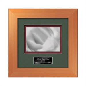 Premier Aquashape™ Award - Bronze | https://www.bestnamebadges.com