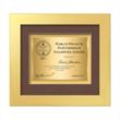 Premier Certificate TexEtch - Gold | https://www.bestnamebadges.com