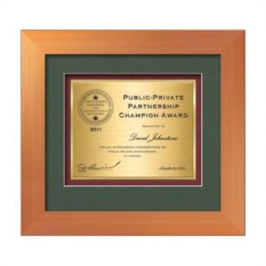 Premier Certificate TexEtch - Bronze | https://www.bestnamebadges.com