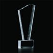 Maddox Award | https://www.bestnamebadges.com