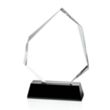 Warner Award - Black | https://www.bestnamebadges.com