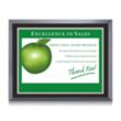 Avonlea/AstroSub Plaque | https://www.bestnamebadges.com