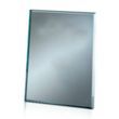 Mirror Plaque - Silver | https://www.bestnamebadges.com