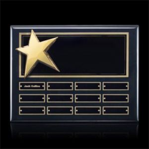 Rising Star - Ebony Perpetual | https://www.bestnamebadges.com