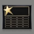 Rising Star - Ebony Perpetual | https://www.bestnamebadges.com