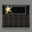 Rising Star - Ebony Perpetual | https://www.bestnamebadges.com