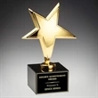 Gold Rising Star Award on Marble | https://www.bestnamebadges.com
