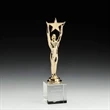 Star Achievement Award on Optical | https://www.bestnamebadges.com