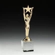 Star Achievement Award on Optical | https://www.bestnamebadges.com