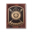 Photocast Plaque - Walnut Finish | https://www.bestnamebadges.com