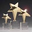 Rising Star Award | https://www.bestnamebadges.com