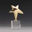 Rising Star Award | https://www.bestnamebadges.com