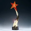 Blazing Star Award | https://www.bestnamebadges.com
