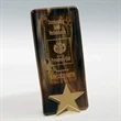 Bright Star Award | https://www.bestnamebadges.com