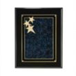 Constellation Plaque | https://www.bestnamebadges.com