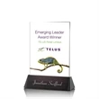 Sierra Rectangle VividPrint™ Award | https://www.bestnamebadges.com
