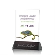 Sierra Rectangle VividPrint™ Award | https://www.bestnamebadges.com