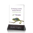 Sierra Rectangle VividPrint™ Award | https://www.bestnamebadges.com