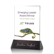 Sierra Rectangle VividPrint™ Award | https://www.bestnamebadges.com
