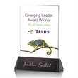 Sierra Rectangle VividPrint™ Award | https://www.bestnamebadges.com